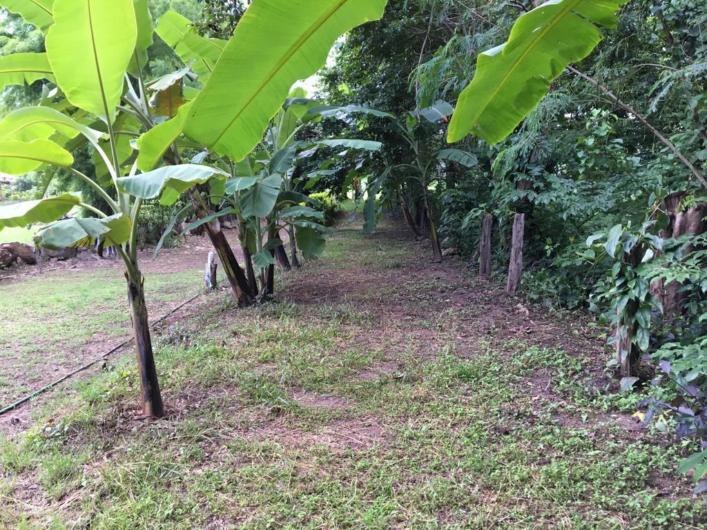 Paipunthong Resort Eksteriør billede